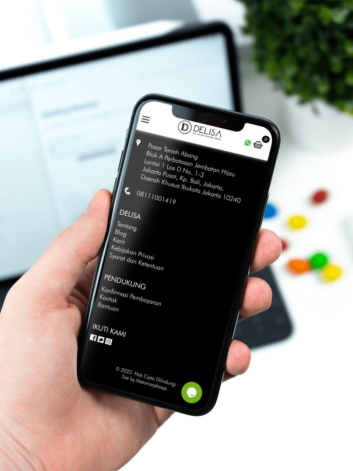 Tentang Delisa Group